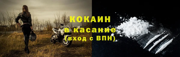 ПСИЛОЦИБИНОВЫЕ ГРИБЫ Арсеньев