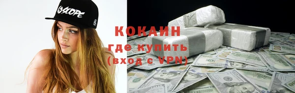 ПСИЛОЦИБИНОВЫЕ ГРИБЫ Арсеньев