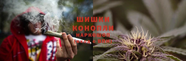 ПСИЛОЦИБИНОВЫЕ ГРИБЫ Арсеньев
