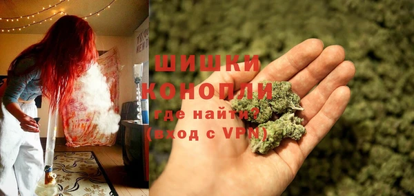 ПСИЛОЦИБИНОВЫЕ ГРИБЫ Арсеньев
