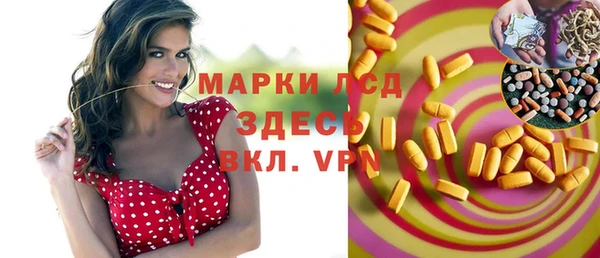 ПСИЛОЦИБИНОВЫЕ ГРИБЫ Арсеньев