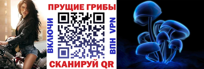 KRAKEN ТОР  Рузаевка  Галлюциногенные грибы Psilocybe  купить закладку 
